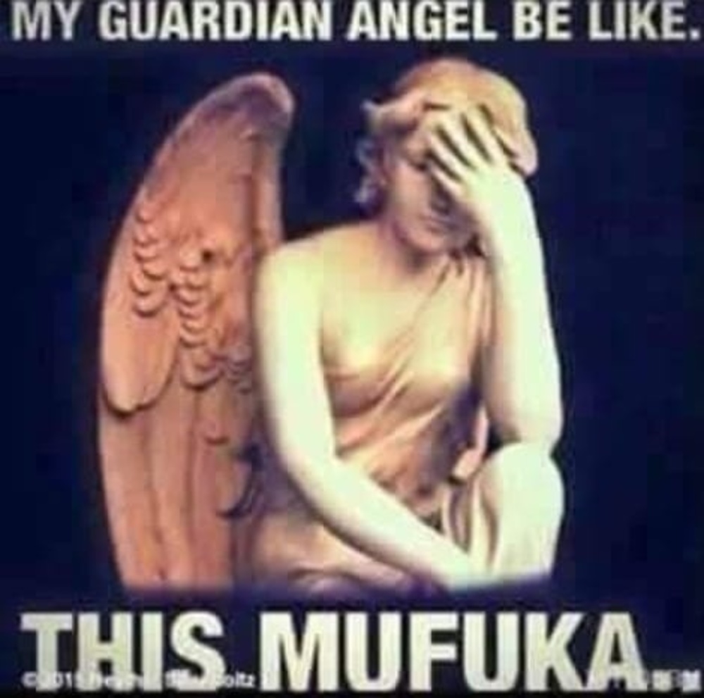 Meet your Posher, Cassandra